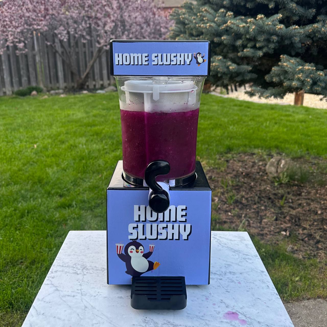 Home Slushy Machine